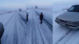 Видеодан кадр