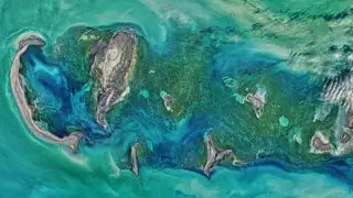 Алдағы онжылдықта Каспий теңізінің суы тартыла бастайды - ғалымдар