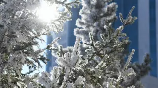 -43 градусқа дейін. Жаңа жылда Қазақстанда ауа райы қандай болады