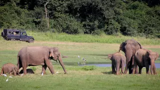 Қазақстан туристері Шри-Ланкаға жаңажылдық чартерлік рейспен ұшып барды