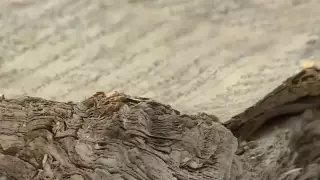 Ақтөбе облысында шамамен бір жарым ғасыр бұрын жарық көрген кітап табылды