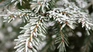 Елімізде 2 қаңтарда ауа райы қандай болады?