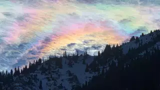 Алматы тауларындағы ерекше құбылыс видеоға түсірілді