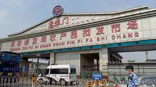 Қытай ДДҰ сарапшыларына коронавирусты зерттеуге мүмкіндік берілмей отыр - телеарна