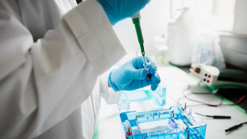 © elements.envato.com