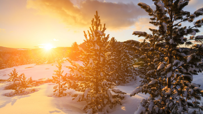 Сурет: elements.envato.com