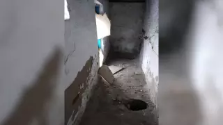 Қазнетте Алматы облысындағы сайлау учаскесіндегі дәретхана талқыланып жатыр