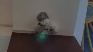 Нұр-Сұлтандағы сайлау учаскесінде камералардың беті неге жабылып тұрғаны айтылды