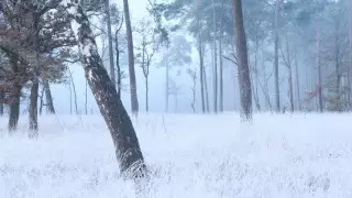 Қазақстанның жеті облысында ауа райына байланысты ескерту жарияланды