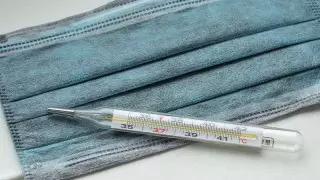 Кейінгі тәулікте қанша адамнан пневмония анықталды?