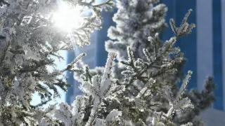 Алдағы күндері ауа райы қандай болады?