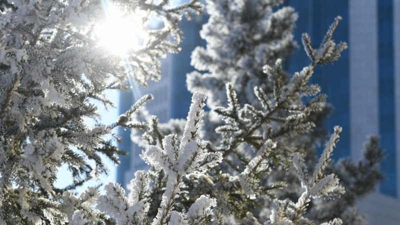 © Тұрар Қазанғапов