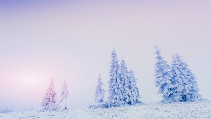 Фото: elements.envato.com