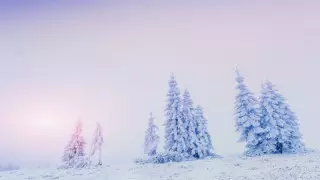 Тұман, көктайғақ болады. 6 өңірде ескерту жарияланды