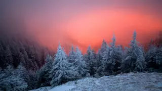 Нұр-Сұлтан мен 10 облыста ескерту жарияланды