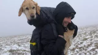 Туристер екі апта бұрын қар құрсауында қалып қойған итті тауып, үйіне қайтарды