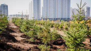 Алтай Көлгінов елорда экологиясын қалай жақсарту керегін айтты