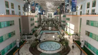 Назарбаев Университеті секілді ЖОО құрылатын қалалар аталды