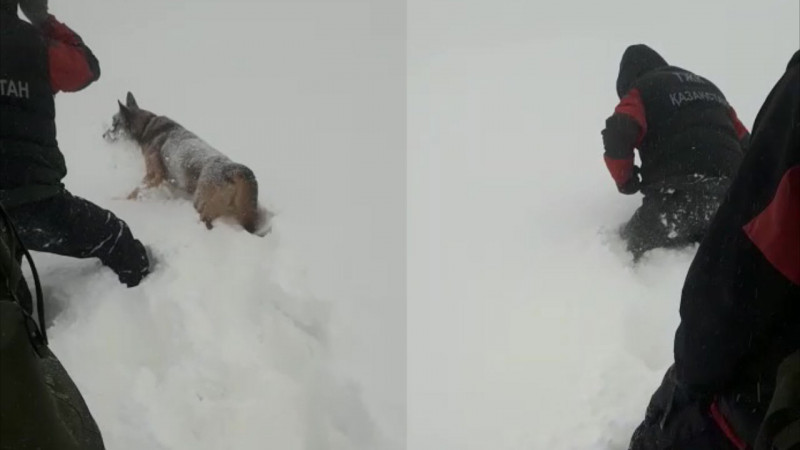 Видео кадры