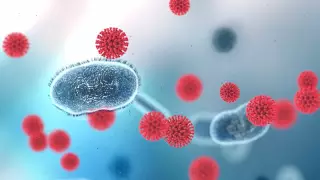 Алматыда коронавирустың жаңа штамы анықталды ма?