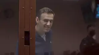 Путин Навальныйды қолдау акциясы туралы пікір білдірді