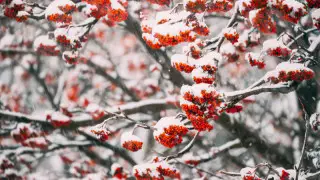 Қазақстанда күн суытады