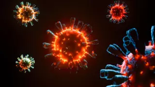 АҚШ-та коронавирустың гибрид штамы анықталды