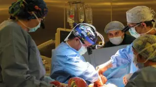 Ұлыбританияда алғаш рет балаларға "өлі жүрек" трансплантациясы жасалды