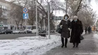 Кейінгі тәулікте тағы 692 адам коронавирус жұқтырды