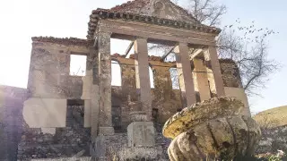 Түкті семіз кисканың фотосы