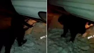 Жетілген әйел ашуланып, жыныстық қатынастан келді.