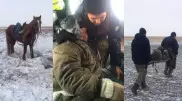"Қар астында жан сақтаған". Бір апта бұрын жоғалған малшы аман табылды
