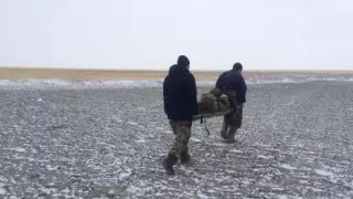 Бір аптадан кейін қар астынан табылған малшының жағдайы қалай? Дәрігер жауап берді