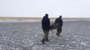 Бір аптадан кейін қар астынан табылған малшының жағдайы қалай? Дәрігер жауап берді