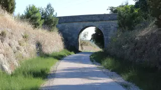 Данияда автожолдар бойымен веложолақтар салуды жоспарлап отыр