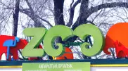 "Миллиондаған қарыз". Алматыда Nur Otan бөлімшесі, полиция және хайуанаттар бағы су ақысын төлемеген