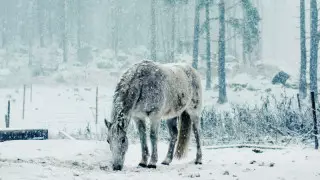 Қазақстанның 9 облысында ескерту жарияланды