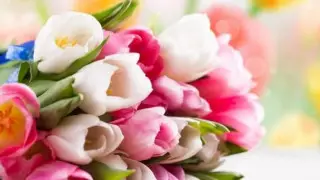 Тоқаев қазақстандық әйелдерді мерекесімен құттықтады