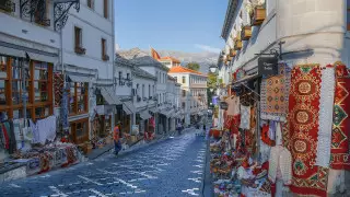 БҰҰ сарапшылары туристер үшін шектеу жоқ бес елді атады