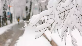 Алдағы күндері ауа райы қандай болады?