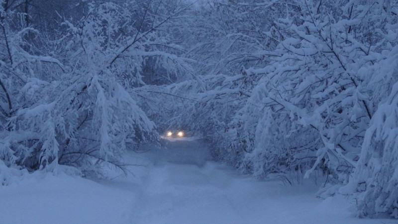 Фото: kstnews.kz