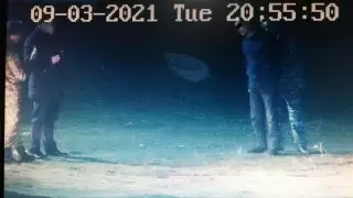 Шымкентте колонияға телефон лақтырғандар видеоға түсіп қалды