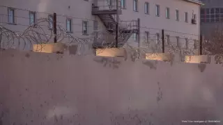 "400 адам түрмеден шықты". Желіде жалған ақпарат тарап жатыр