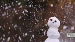 Фотограф Шымкенттегі көктемгі қардың кадрларын бөлісті