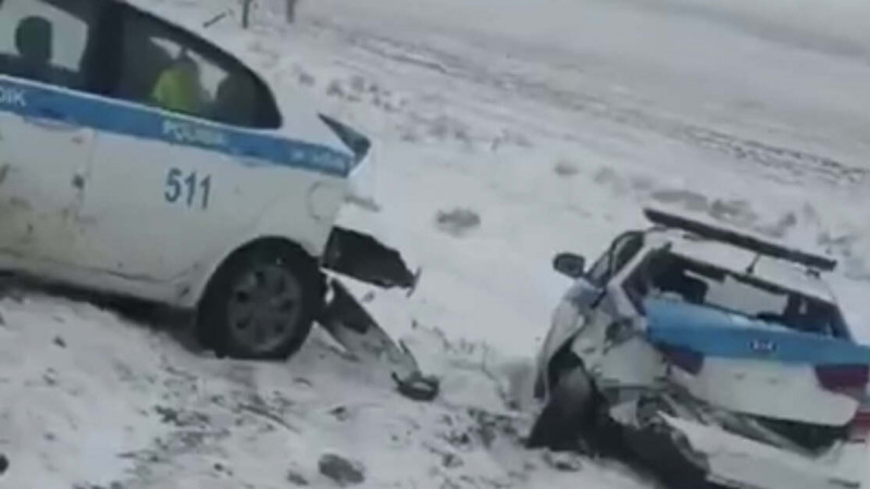 Фото: polisia.kz