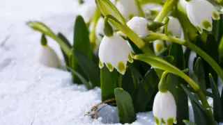 Қазақстанда күн жылынады