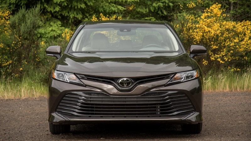 Фото: zarulim.com.ua