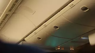 Жолаушылардың көзінше төбелескен ұшқыш пен бортсерік жазаланды