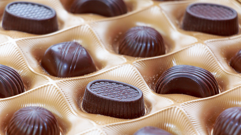 Фото: elements.envato.com