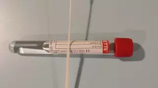 ДСМ қазақстандық туристерге арналған ПТР-тест туралы шешімді түсіндірді